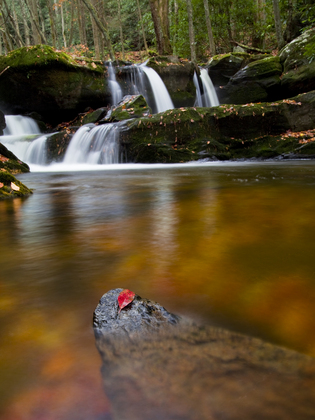 Great Smoky Mountains National Park