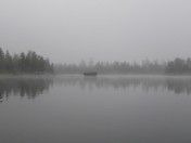 BWCA