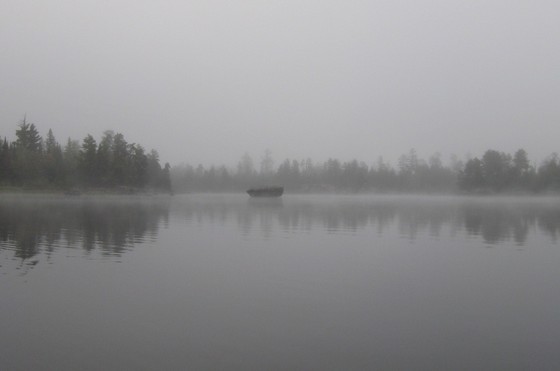 BWCA