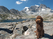 Ansel Adams Wilderness