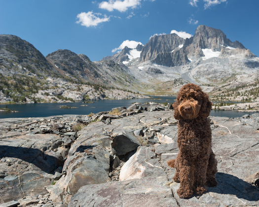 Ansel Adams Wilderness