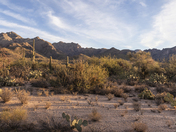 Sabino Canyon