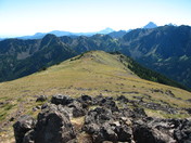 Olympic National Forest