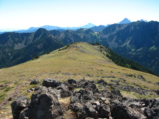 Olympic National Forest