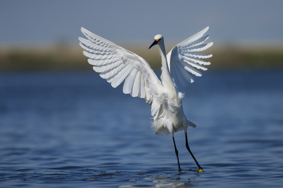Edwin B Forsythe National Wildlife Refuge