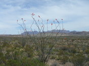Big Bend National Park