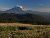 Goat Rocks Wilderness  Area