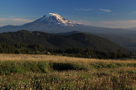 Goat Rocks Wilderness  Area