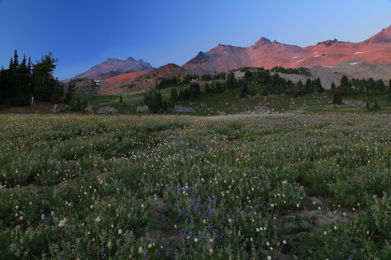 Goat Rocks Wilderness Area