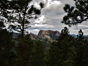 Black Hills National Forest