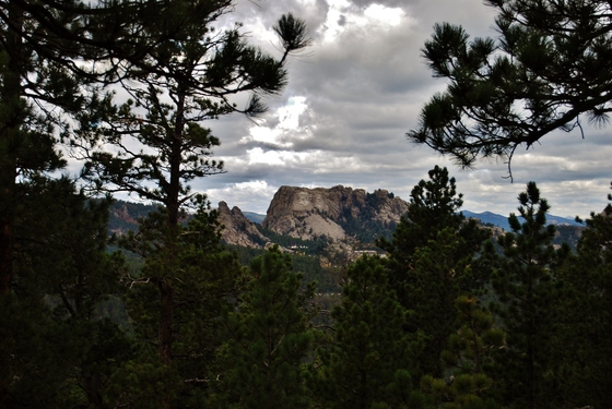 Black Hills National Forest