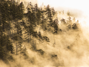 Great Smoky Mountains National Park