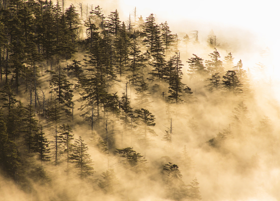 Great Smoky Mountains National Park