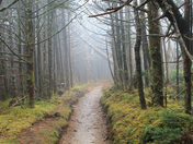 Great Smoky Mountains 