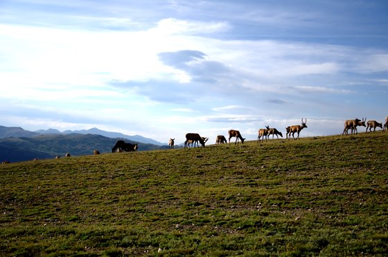 Rocky Mountain National Park