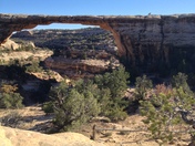 Natural Bridges National Park