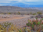 Big Bend National Park