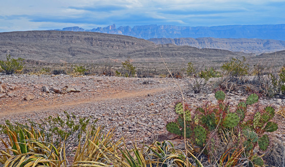 Big Bend National Park