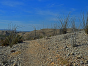 Big Bend National Park