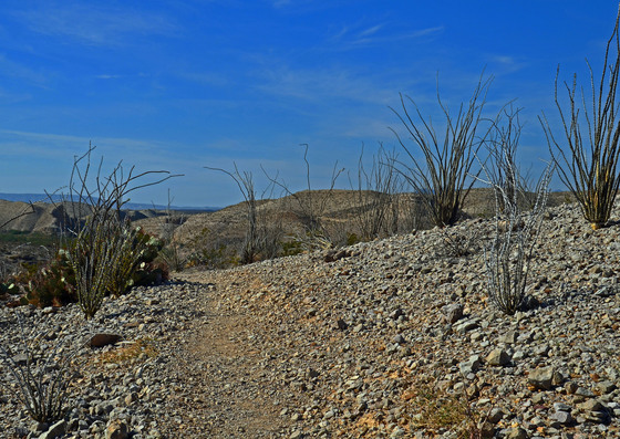 Big Bend National Park