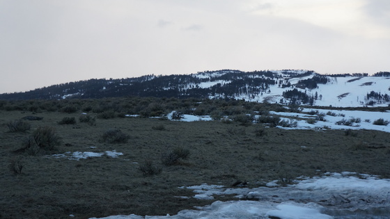 Yellowstone National Park