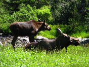 Grand Teton National Park