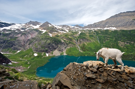 Glacier National Park