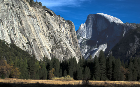 Yosemite National Park