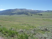 Yellowstone