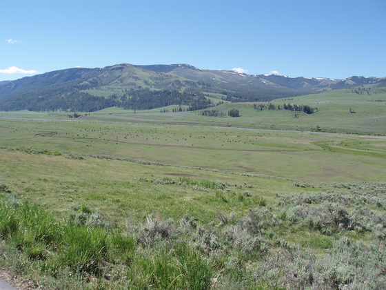 Yellowstone