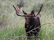 Lee Metcalf National Wildlife Refuge