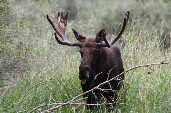 Lee Metcalf National Wildlife Refuge