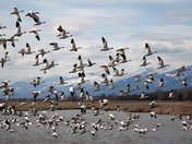 Lee Metcalf National Wildlife Refuge