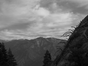 Sequoia National Park