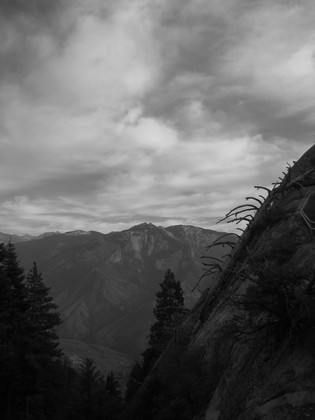 Sequoia National Park