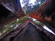 Sequoia National Park
