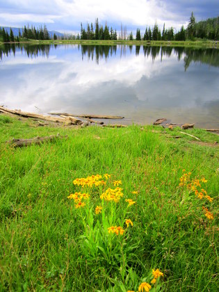Manti LaSal National Forest