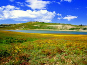 Manti LaSal National Forest