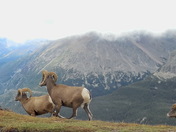Rocky Mountain National Park