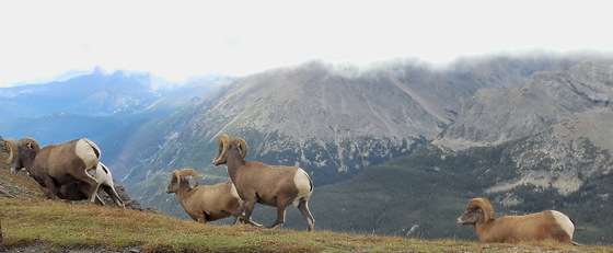 Rocky Mountain National Park