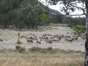 Rocky Mountain National Park