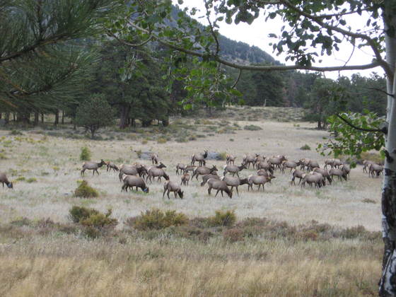 Rocky Mountain National Park