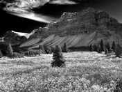 BOW LAKE BW