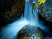 Yosemite National Park