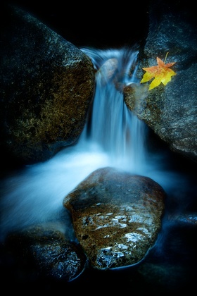 Yosemite National Park