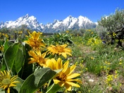 Grand Tetons National Park