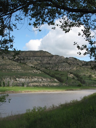 Theodore Roosevelt National Park