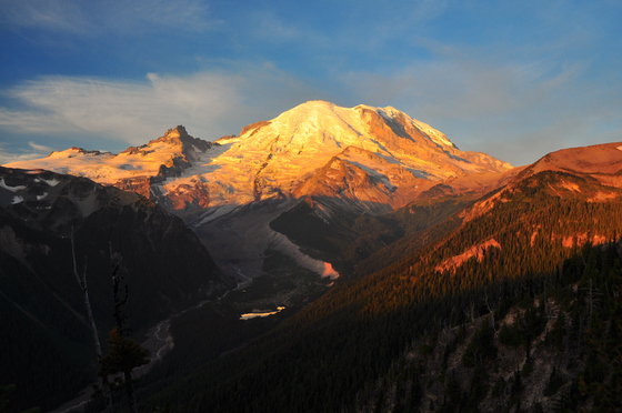 Mt Rainier National Park