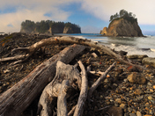 Olympic National Park
