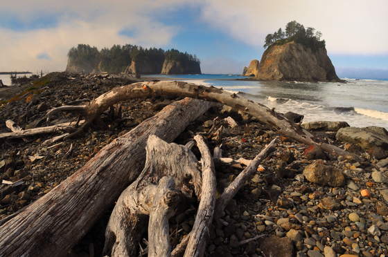 Olympic National Park